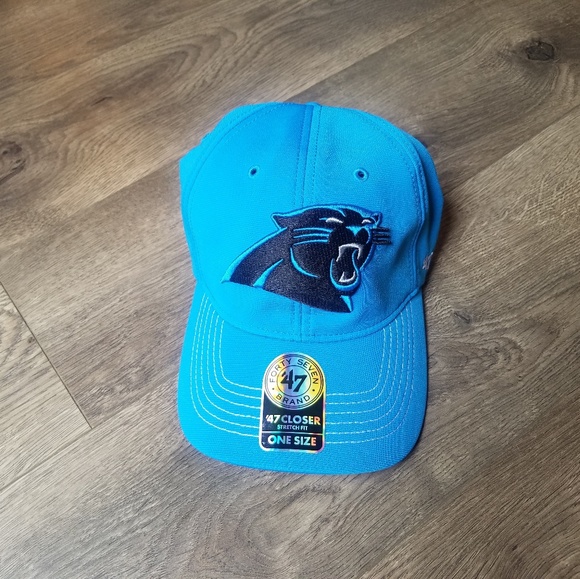 panthers baseball cap